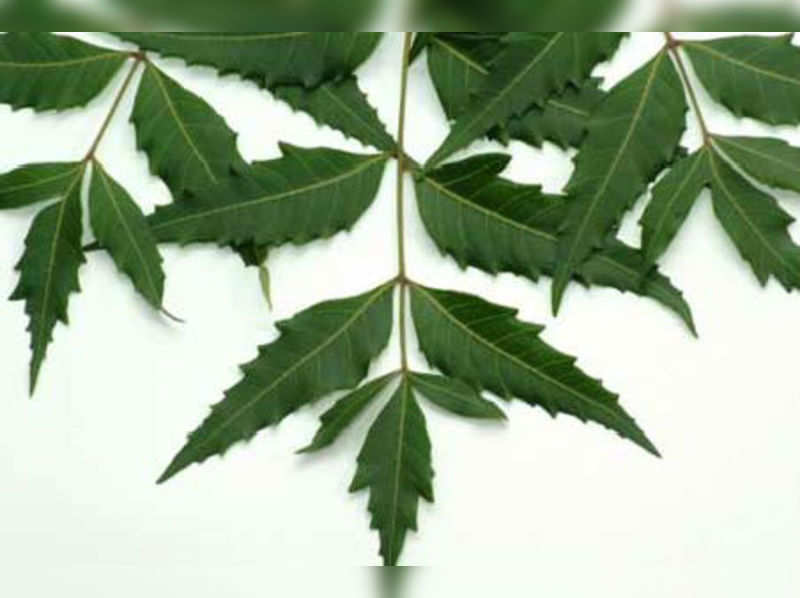 Herbal remedies: 20 health benefits of neem (Thinkstock photos/Getty Images)