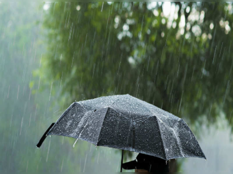 Go bitter in the rains (Image: Shuuterstock)