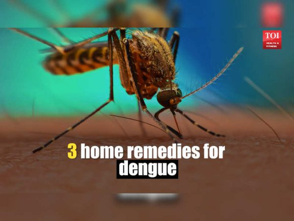 Follow these simple home remedies to fight dengue