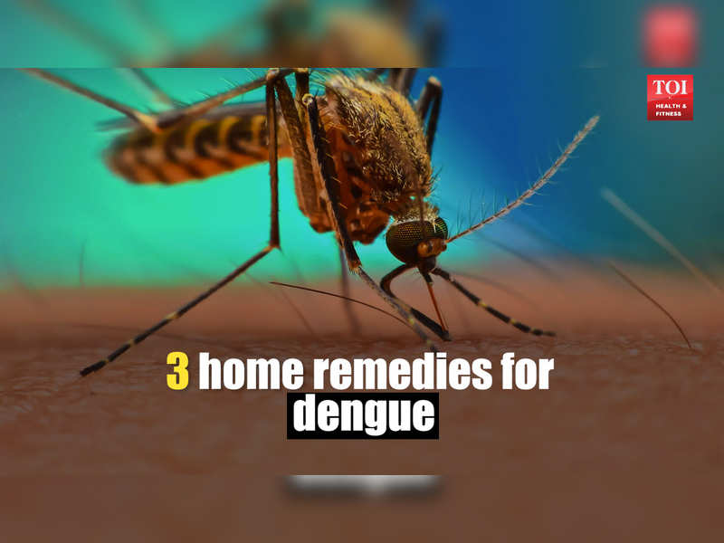 Follow these simple home remedies to fight dengue