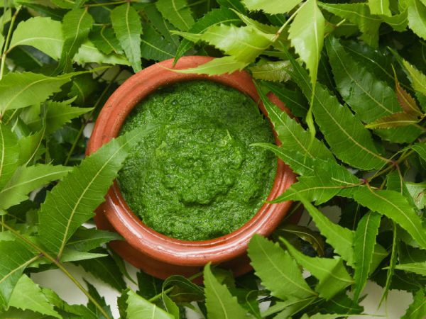 Can neem help prevent cancer?