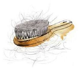 Hair loss treatment - 7+ proven secrets to avoid hair loss